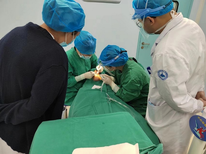 務川縣人民醫院醫師現場學習技能。貴陽市口腔醫院供圖