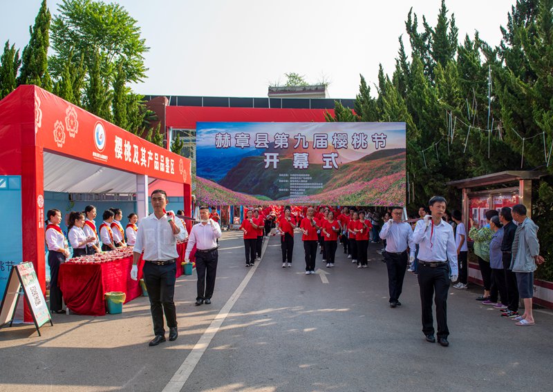 群眾游行歡慶櫻桃節開幕。李學友攝