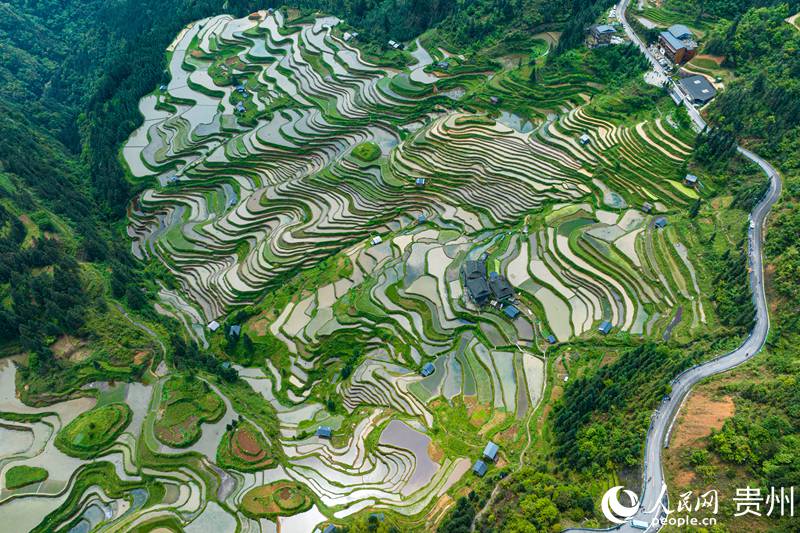 5、航拍貴州省從江縣加榜梯田。人民網 陽茜攝