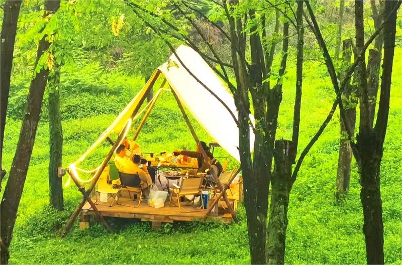 生態游“出圈”，近郊游受青睞。
