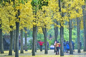 市民在黔靈山公園鍛煉。