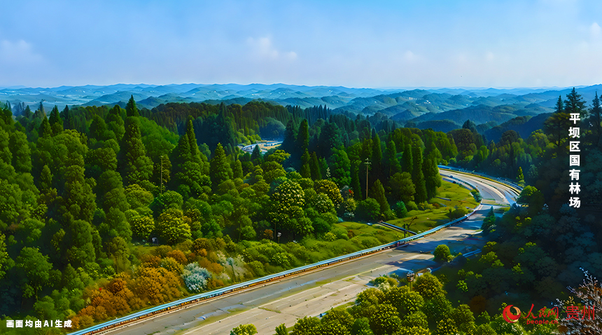 平壩區國有林場總面積10200畝，其中有林地面積9947.85畝，樹種主要為以馬尾松、華山松、柳杉和杉木為主的針葉林，兼有部分楠竹林和部分闊葉林。