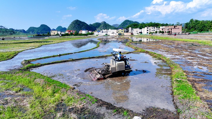 昊禹?稻花鄉里。
