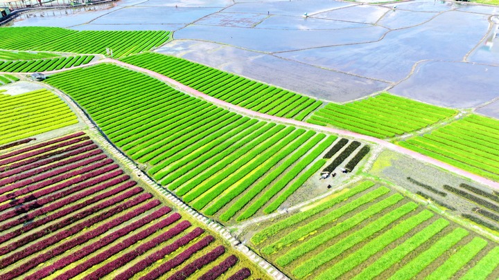 昊禹?稻花鄉里。