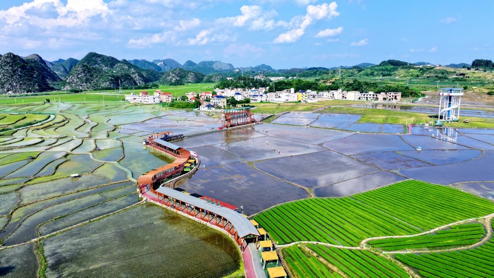 昊禹?稻花鄉里。