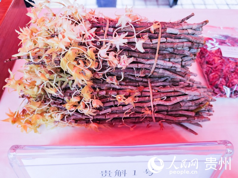 創新成果展示。人民網記者 王秀芳攝