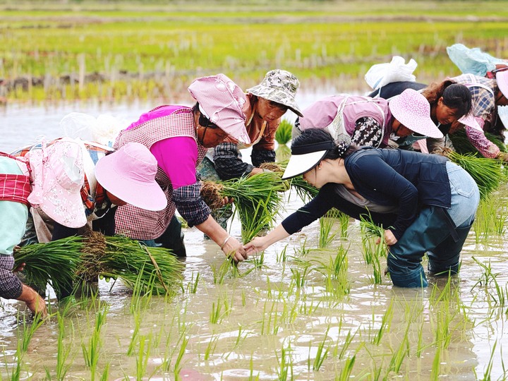 科技賦能 助農興農。