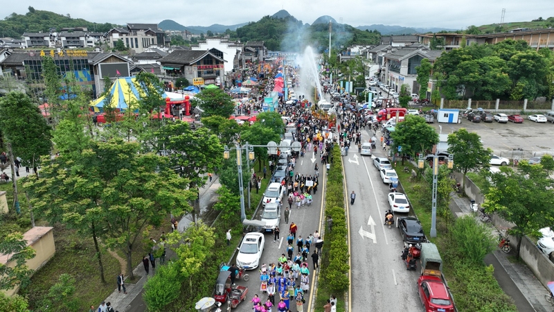 水龍巡游。楊洪金攝