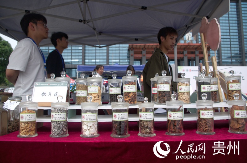 活動現場。人民網 龍章榆攝