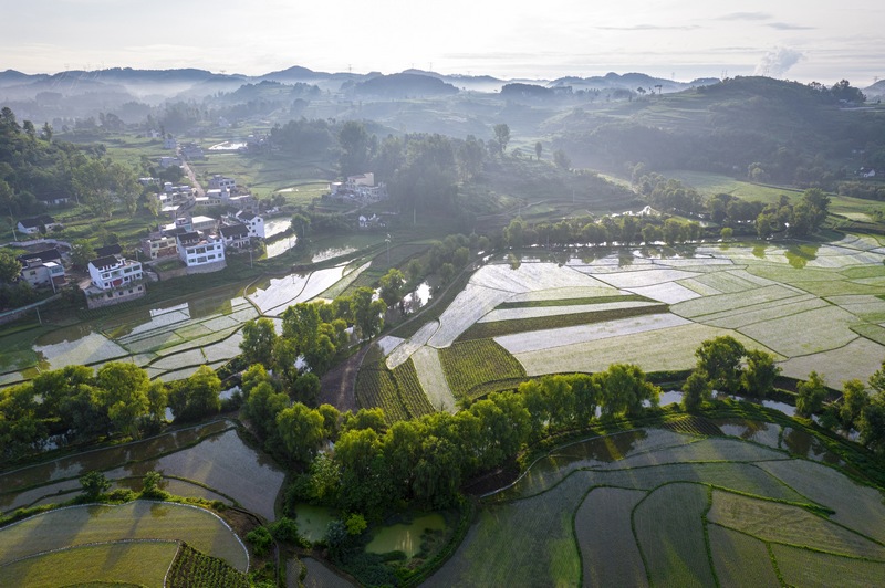 貴州黔西：仲夏田園美如畫。