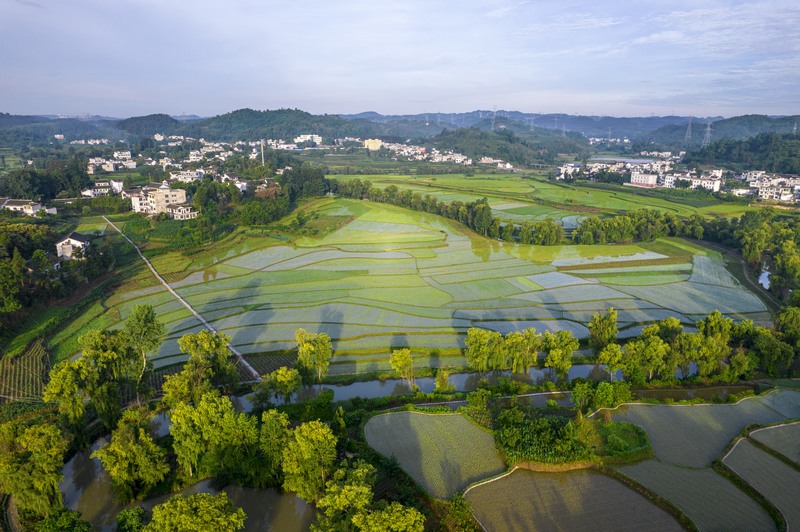 貴州黔西：仲夏田園美如畫。