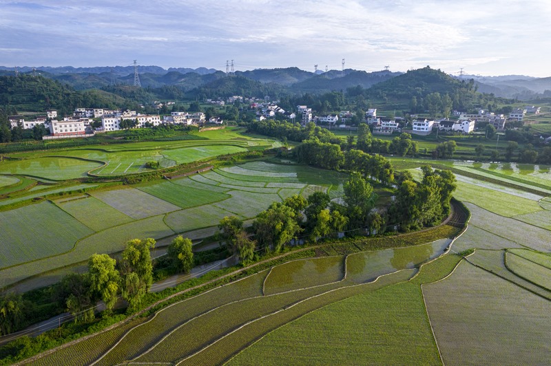 貴州黔西：仲夏田園美如畫。