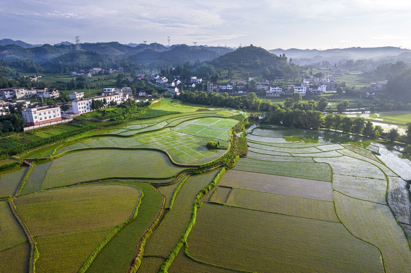 貴州黔西：仲夏田園美如畫。