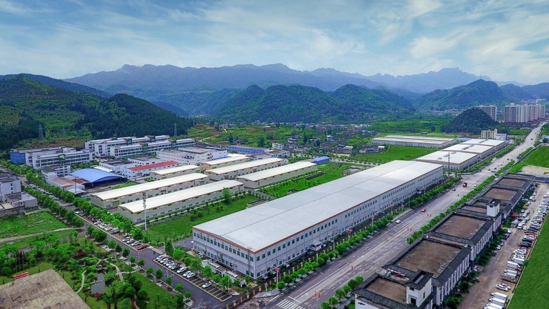 抹茶全產業鏈發展助力鄉村振興。