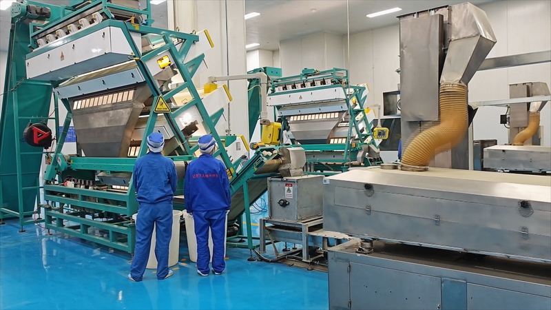 抹茶全產業鏈發展助力鄉村振興。