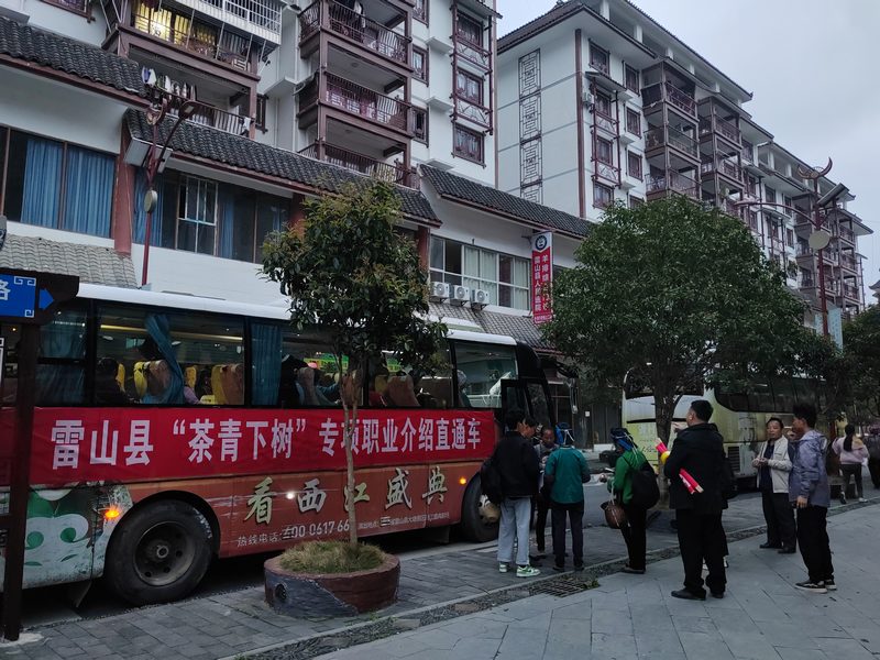 雷山安排直通車送群眾到茶山采茶。
