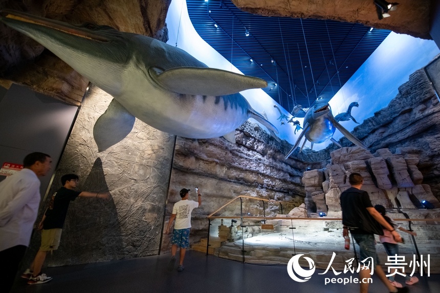 6月21日，在貴州省地質博物館，游客正在參觀游覽。人民網記者 翁奇羽攝