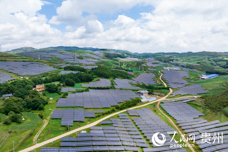 在陽光照耀下，成片的光伏“藍?！膘陟谏x。人民網記者 涂敏攝