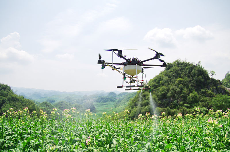 畢節市大方縣杜鵑基地單元開展無人機飛防。
