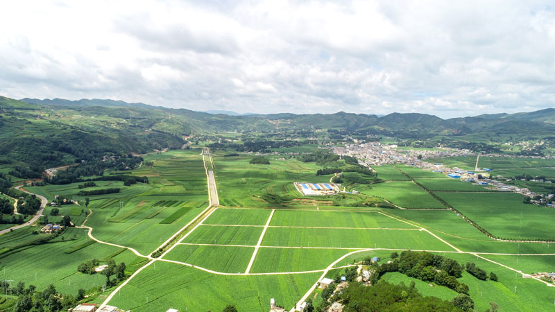 畢節市威寧縣秀水煙區。