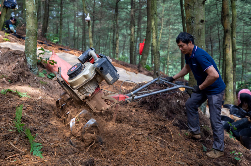 村民用旋耕機翻松土地。李學友攝