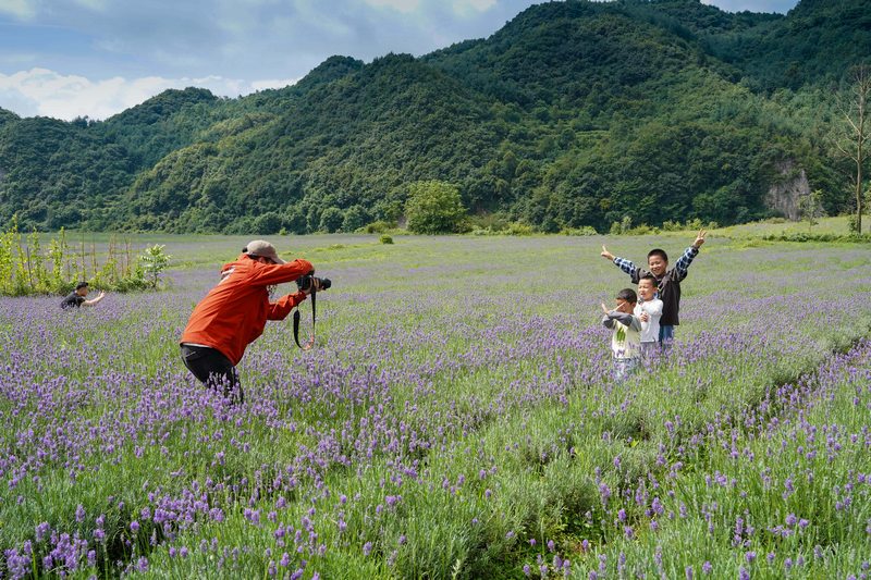 7月21日，游客在貴州省畢節市赫章縣興發鄉中寨村薰衣草花海游玩拍照。