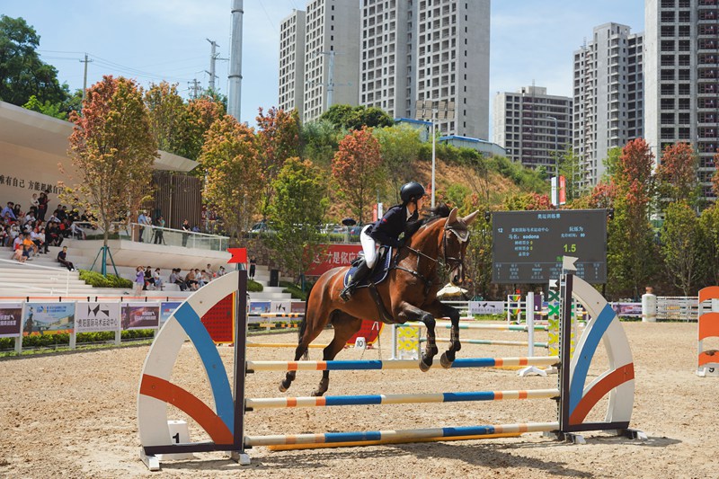 訓練賽現場。貴陽國際馬術運動中心供圖 (7)