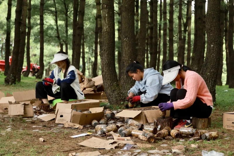 務工群眾正在給菌絲包切塊