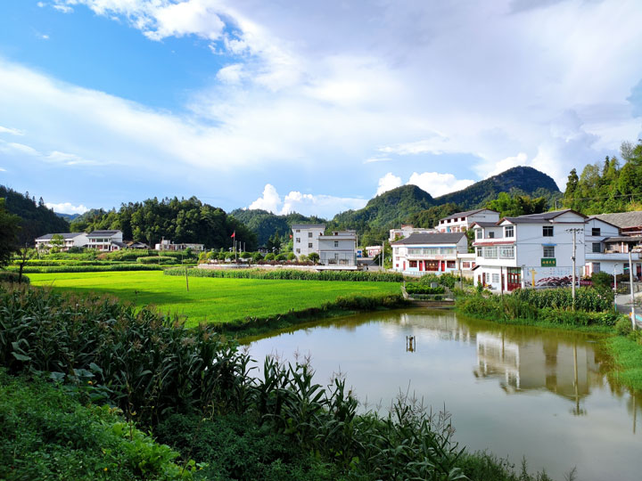 藍天白云、青山綠水下的白坭村。