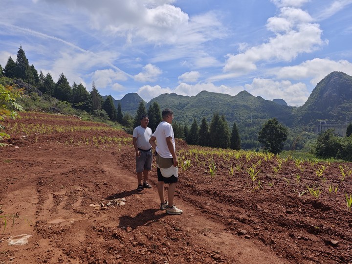 實地核實荒地情況。