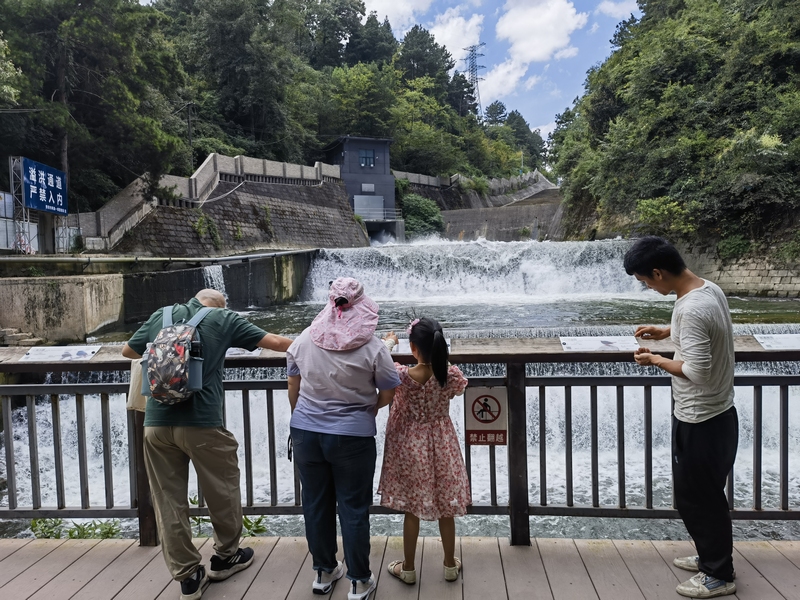 貴陽阿哈湖國家濕地公園的動植物有了“身份卡” 。張海波拍攝 (8)