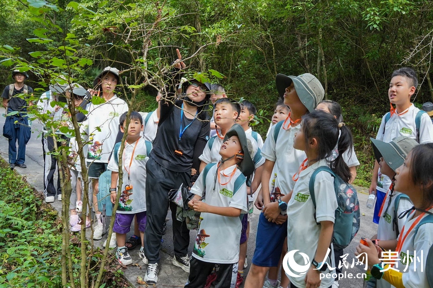 自然考察課堂。袁華強攝