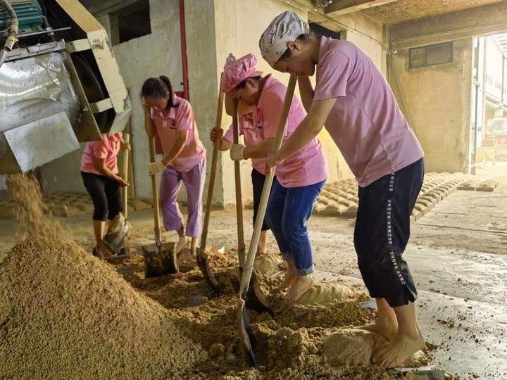 制曲車間工人忙著制曲。仁懷市融媒體中心供圖