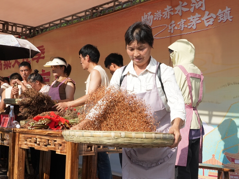 2、賽高粱現場