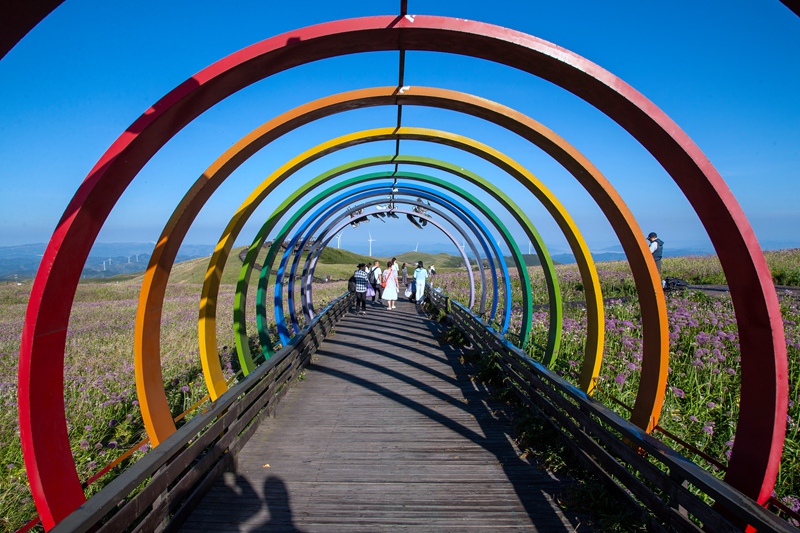 8月24日，游客在貴州省畢節市赫章縣阿西里西·韭菜坪景區游玩。