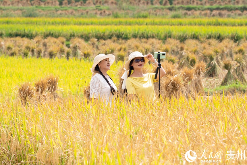 游客在梯田內游玩拍攝。人民網記者 涂敏攝