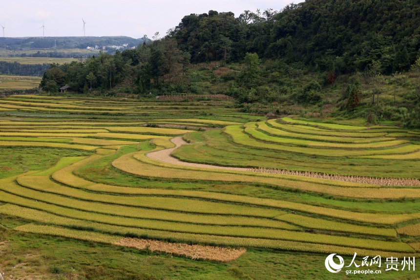 貴州龍里“豐”景如畫。人民網 潘佳倩攝