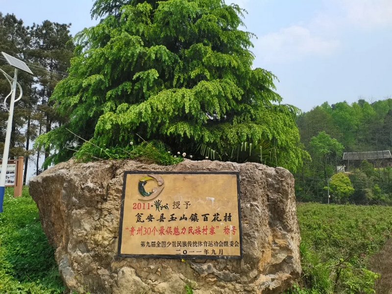 2 圖為甕安縣玉山鎮白花村一角。