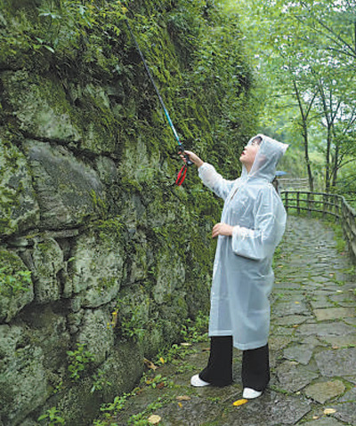 陳憲忠介紹城墻保護。