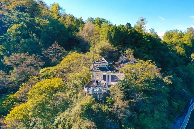 永樂鄉的秋天，你不能錯過的絕美風光。