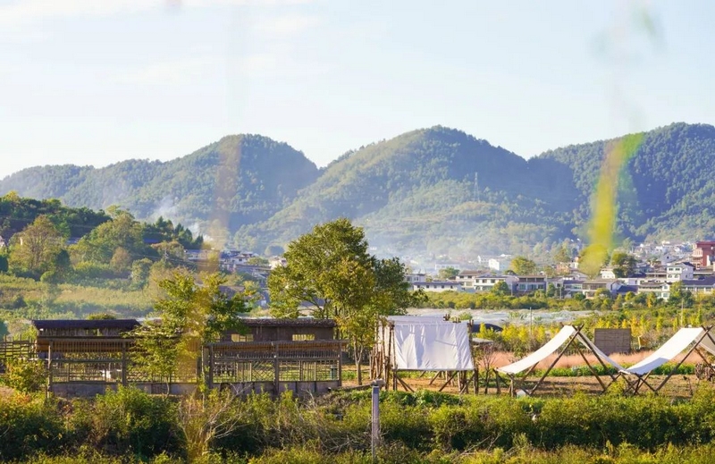 永樂鄉的秋天，你不能錯過的絕美風光。