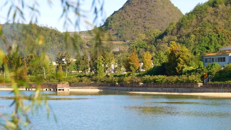 永樂鄉的秋天，你不能錯過的絕美風光。