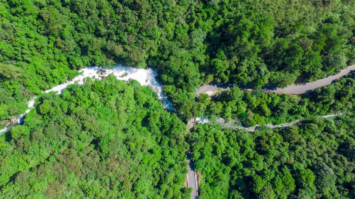 荔波茂蘭喀斯特森林。