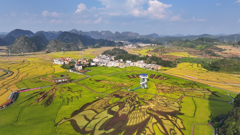 稻花鄉里農文旅觀光園。受訪者供圖