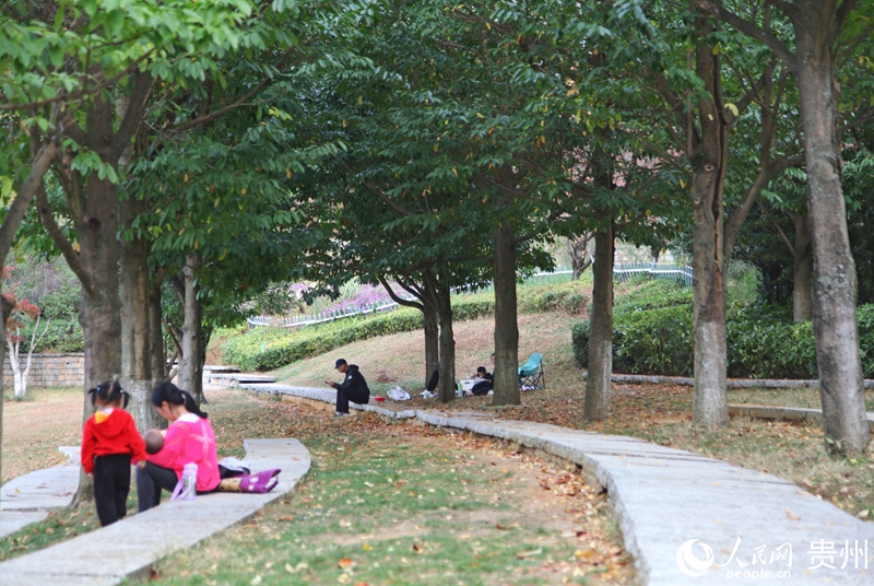 貴陽市白云區泉湖公園一角。人民網 龍章榆攝