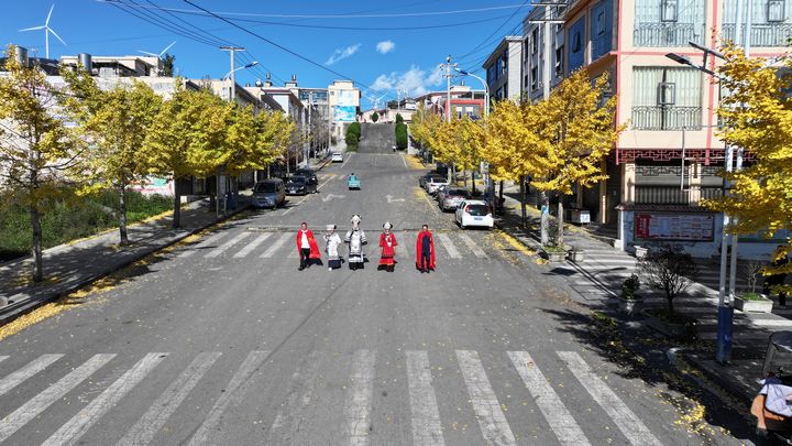 結構的銀杏黃了航拍照片。湯斌攝