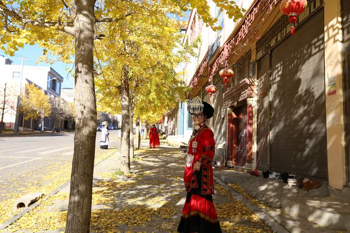 在云上結構，金黃的銀杏、藍天、白云、身著民族服飾的人們，共同繪就了唯美畫卷。湯斌攝