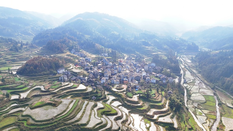 化敖村航拍。