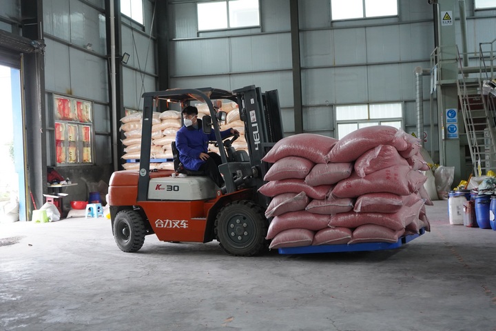 工人用叉車運輸種子。