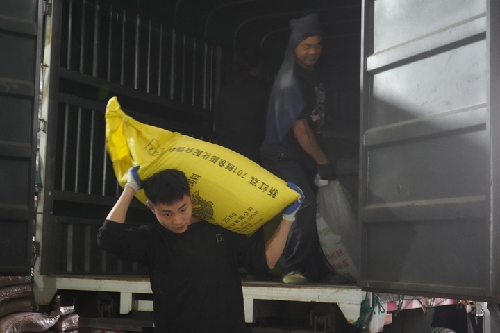 工人正在搬運種子。